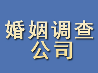 萨迦婚姻调查公司